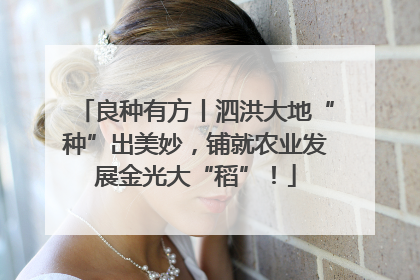 良种有方丨泗洪大地“种”出美妙，铺就农业发展金光大“稻”！